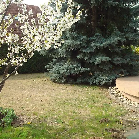 P.m. Apartman